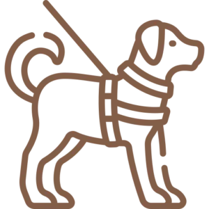 Équipement possédé par Les Chiens de la Vallée pour les balades canines en meute, service dog walker à Chevreuse