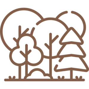 Fôret possédée par Les Chiens de la Vallée pour les balades canines en meute, service dog walker à Chevreuse