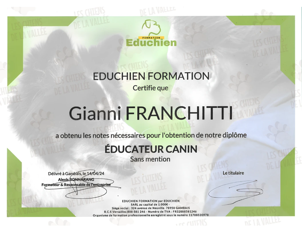 Gianni Franchitti Les Chiens de la Vallée, certificat Éduchien Formation Gianni Franchitti Les Chiens de la Vallée, certificat Éduchien Formation