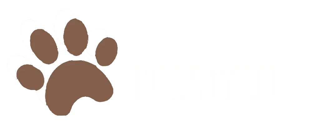 Logo Les Chiens de la Vallé, Dog Walker, service de balade canine en meute à Chevreuse